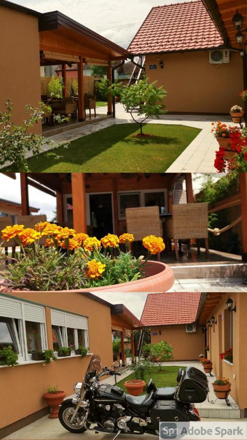 Villa Klara Novi Sad Esterno foto