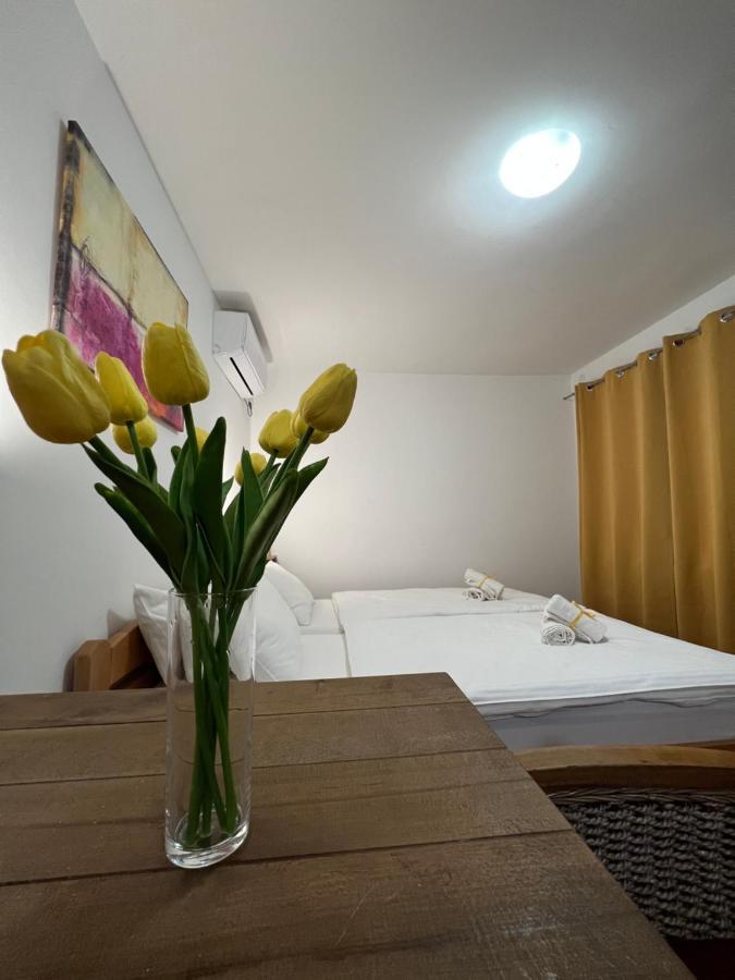 Villa Klara Novi Sad Esterno foto