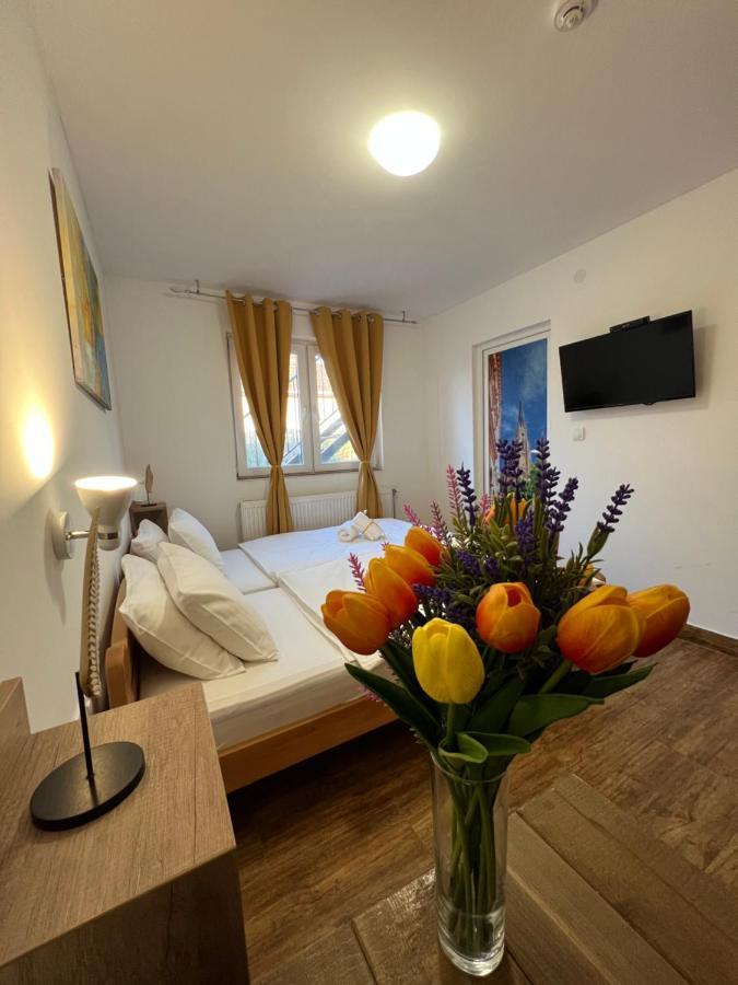 Villa Klara Novi Sad Esterno foto