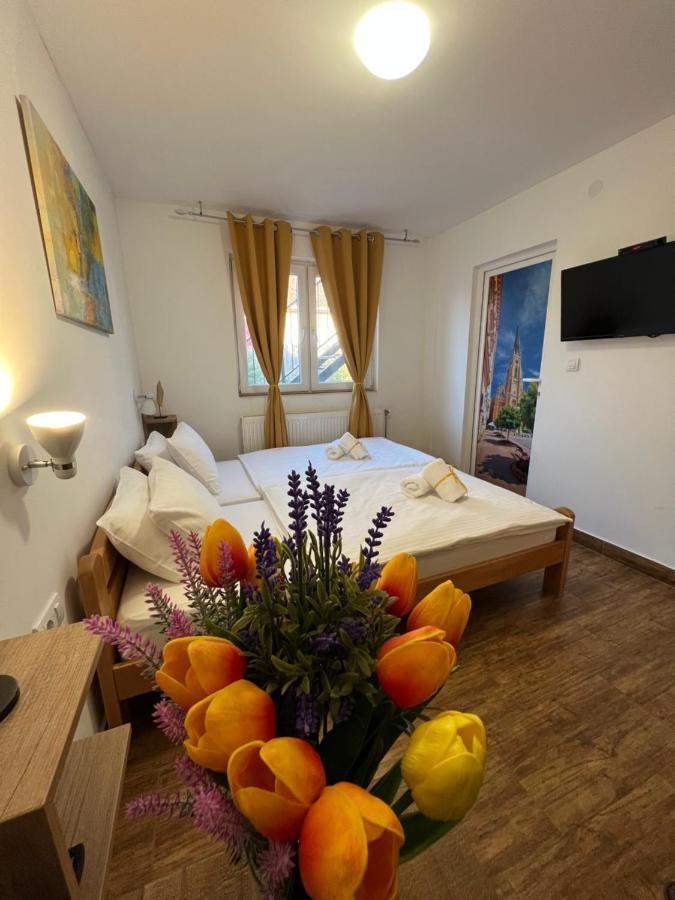 Villa Klara Novi Sad Esterno foto